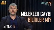 Melekler Gaybı Bilirler mi? | Muhammed Emin Yıldırım